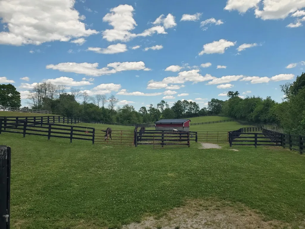 696 Pea Ridge Road Stamping Ground KY 40379