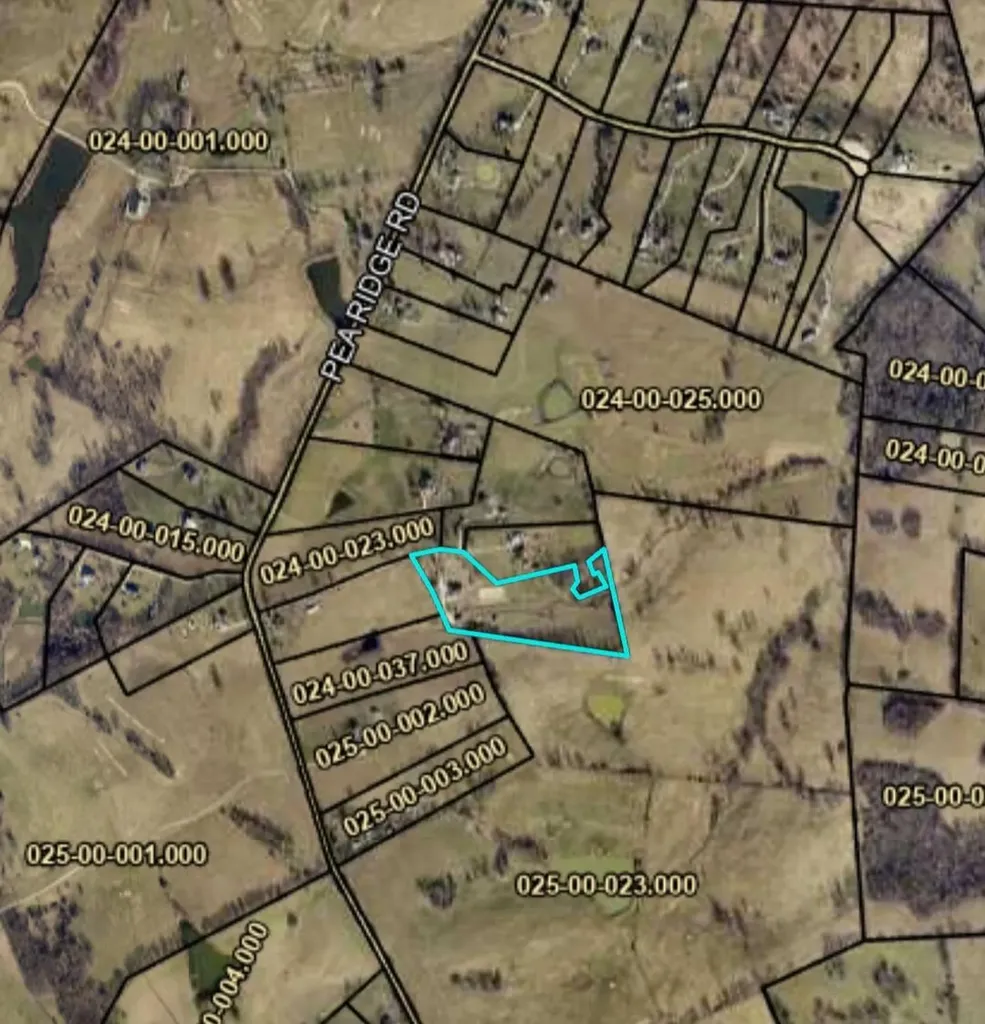 696 Pea Ridge Road Stamping Ground KY 40379
