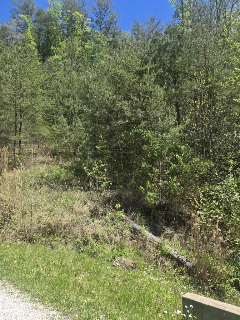 Lot 44 Paradise Valley Retreat Rogers KY 41365