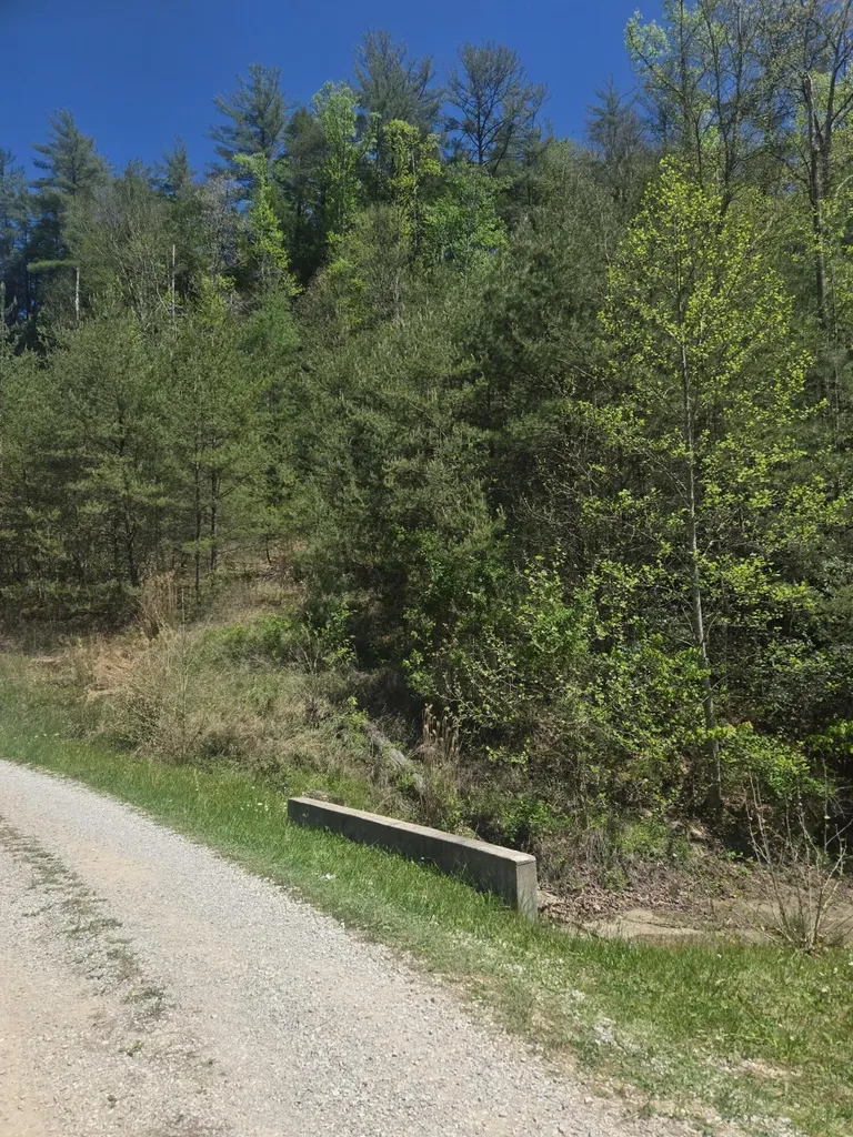 Lot 44 Paradise Valley Retreat Rogers KY 41365