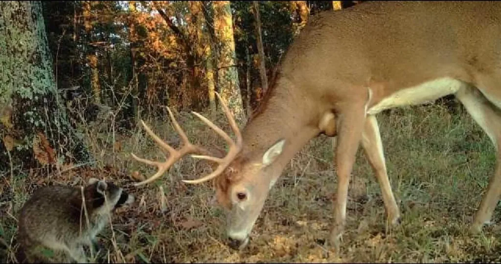 2700 Sulphur Lick Road Willisburg KY 40078