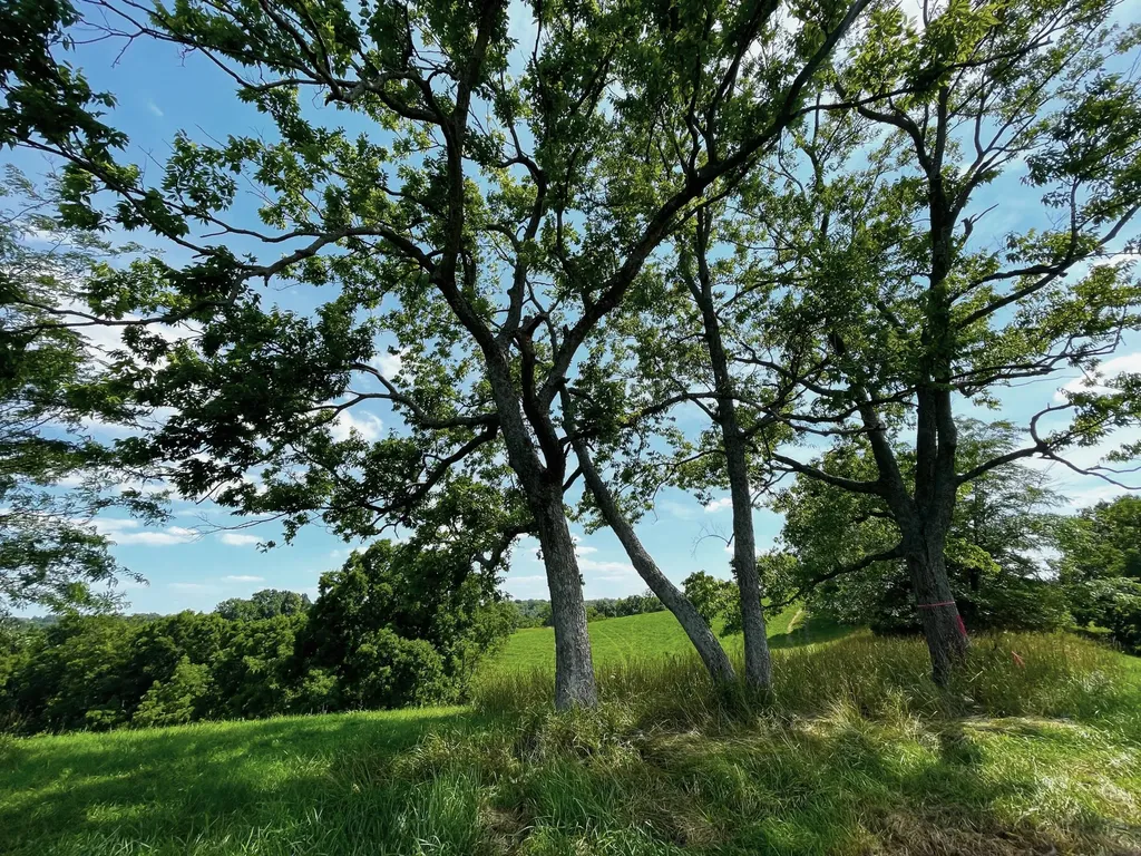 2657 Burton Pike Georgetown KY 40324