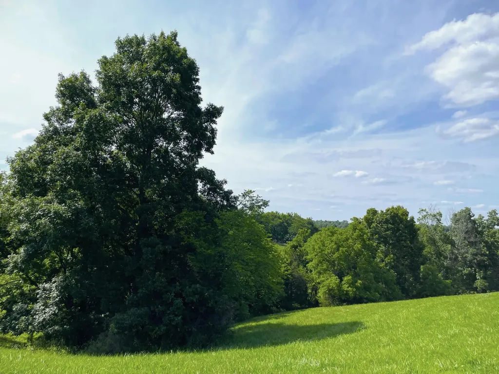 2657 Burton Pike Georgetown KY 40324
