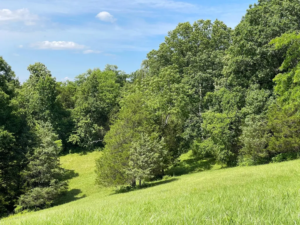2657 Burton Pike Georgetown KY 40324