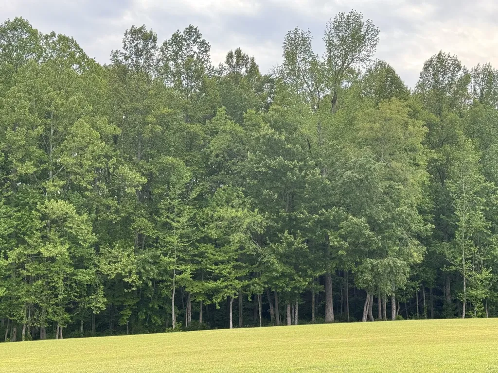 232 Clearview Road London KY 40741