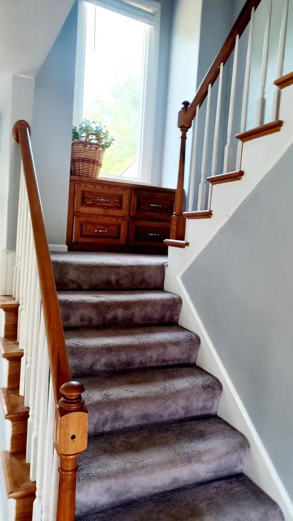 348 Colony Drive Versailles KY 40383
