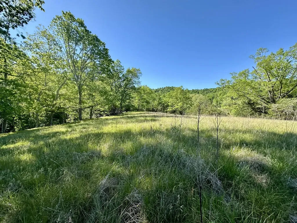 1170 E Doe Creek Road Liberty KY 42539