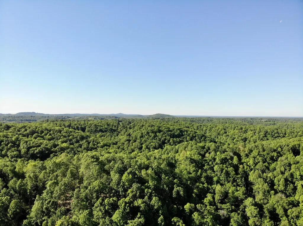 1170 E Doe Creek Road Liberty KY 42539