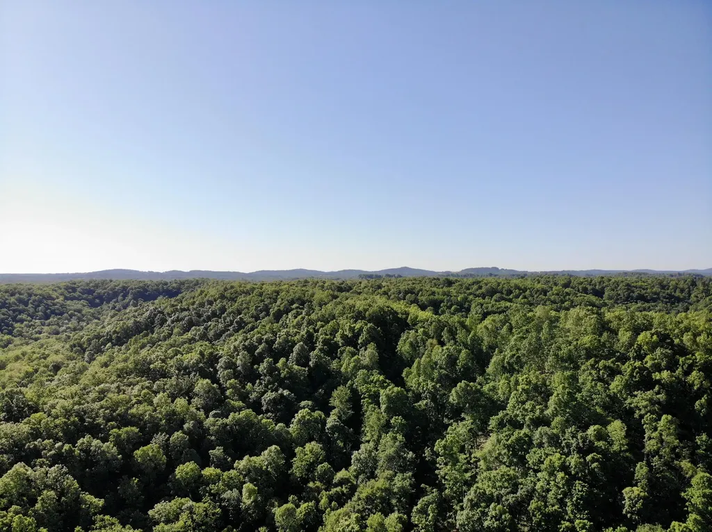 1170 E Doe Creek Road Liberty KY 42539