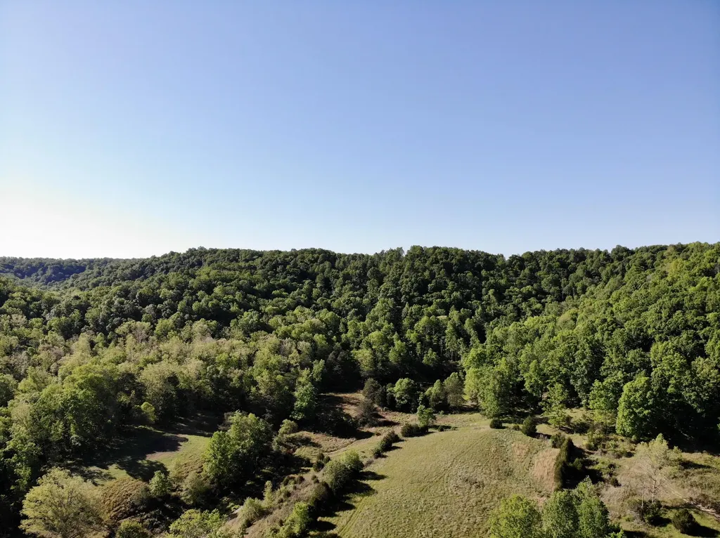 1170 E Doe Creek Road Liberty KY 42539