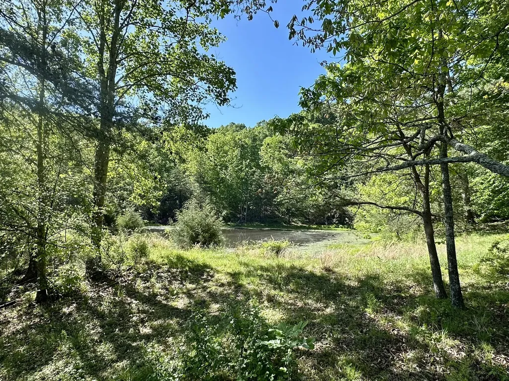 1170 E Doe Creek Road Liberty KY 42539