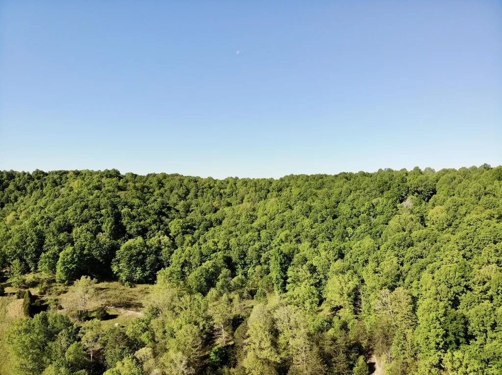 1170 E Doe Creek Road Liberty KY 42539
