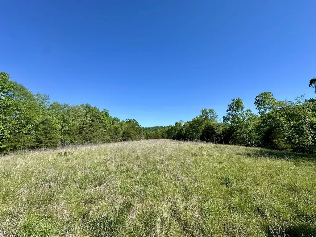 1170 E Doe Creek Road Liberty KY 42539
