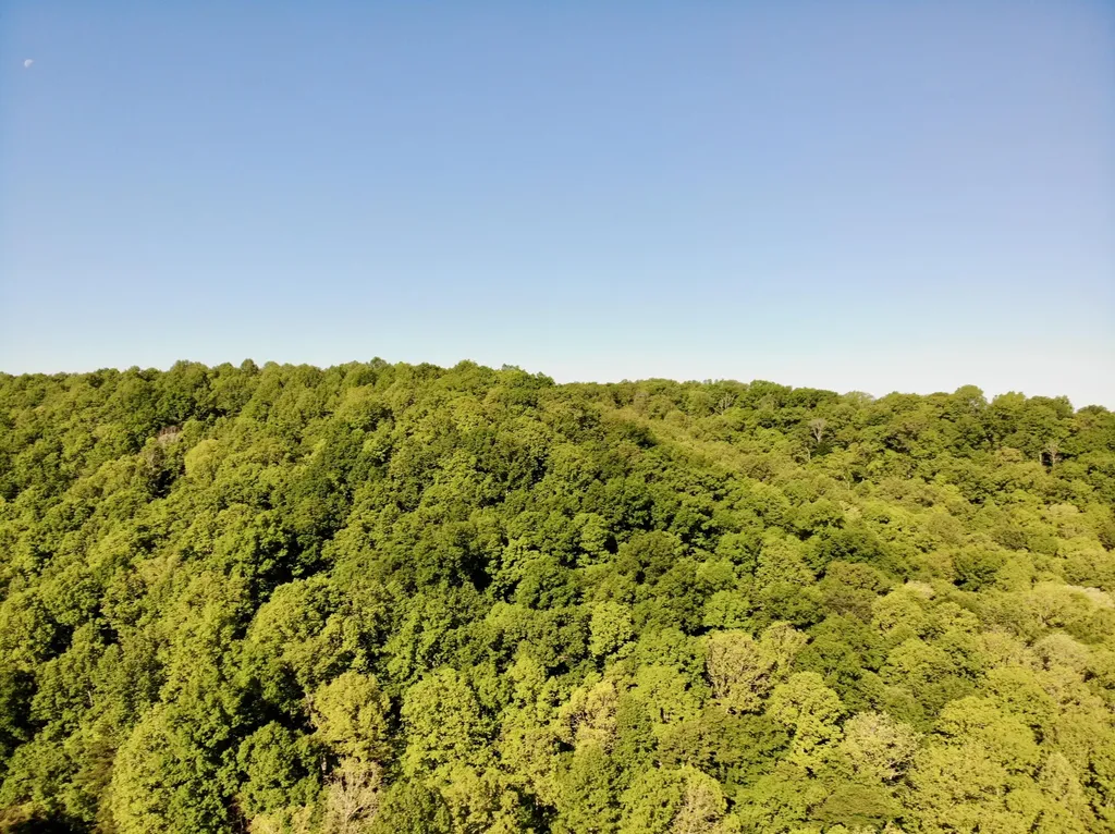 1170 E Doe Creek Road Liberty KY 42539