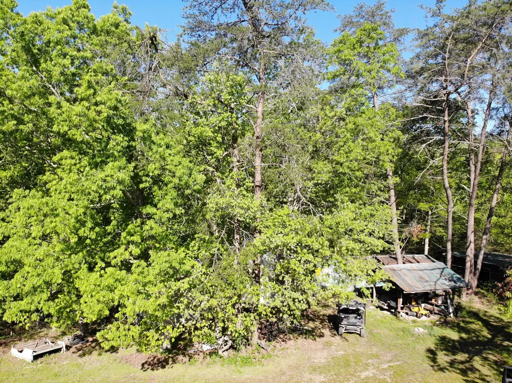 1170 E Doe Creek Road Liberty KY 42539