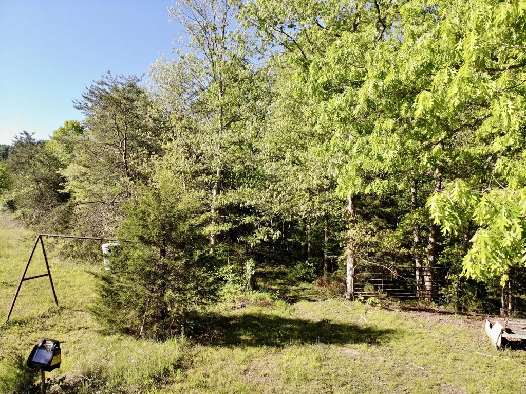 1170 E Doe Creek Road Liberty KY 42539
