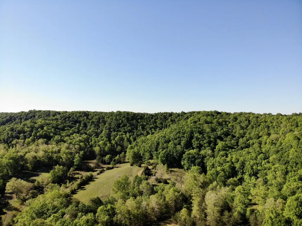 1170 E Doe Creek Road Liberty KY 42539