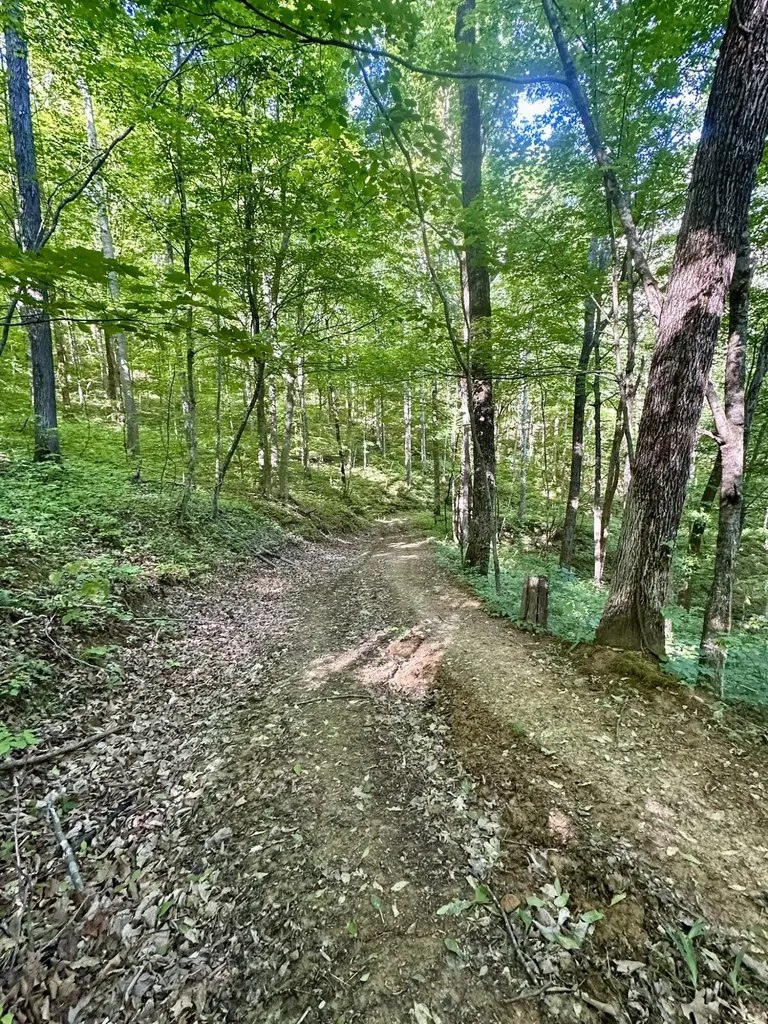 1170 E Doe Creek Road Liberty KY 42539
