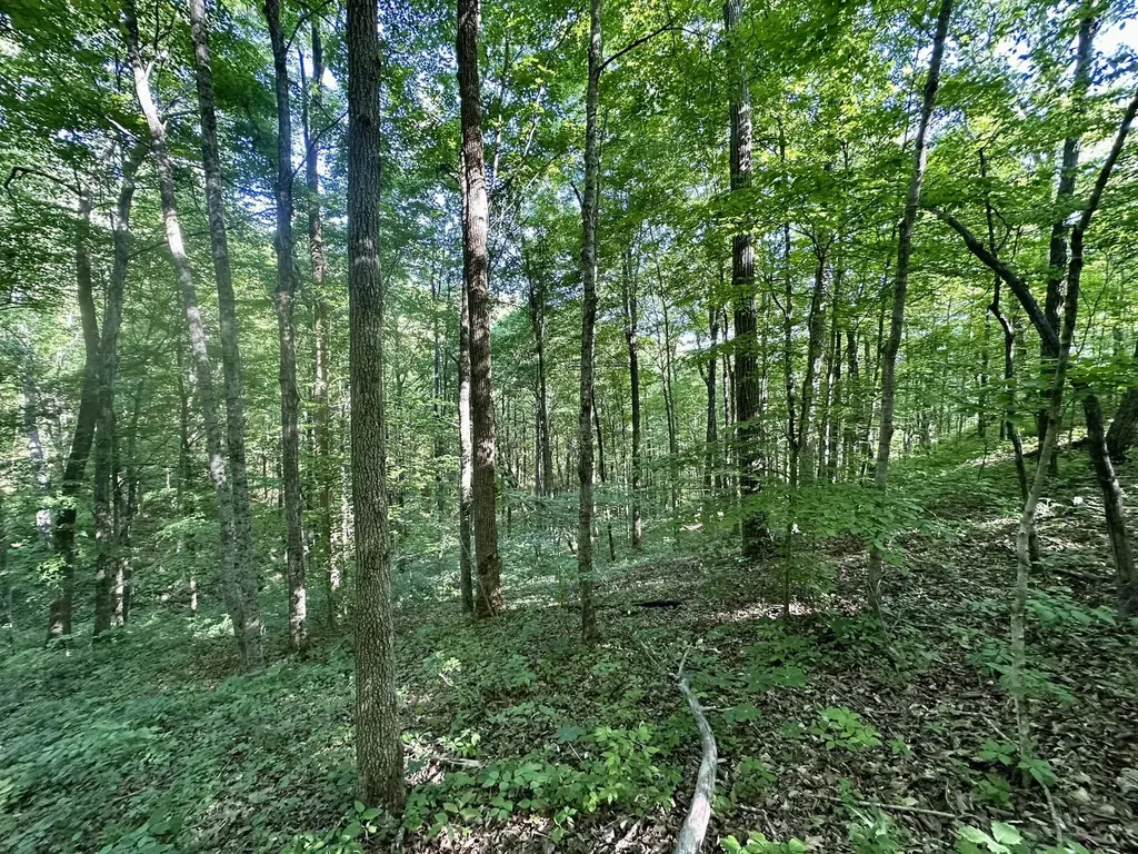 1170 E Doe Creek Road Liberty KY 42539