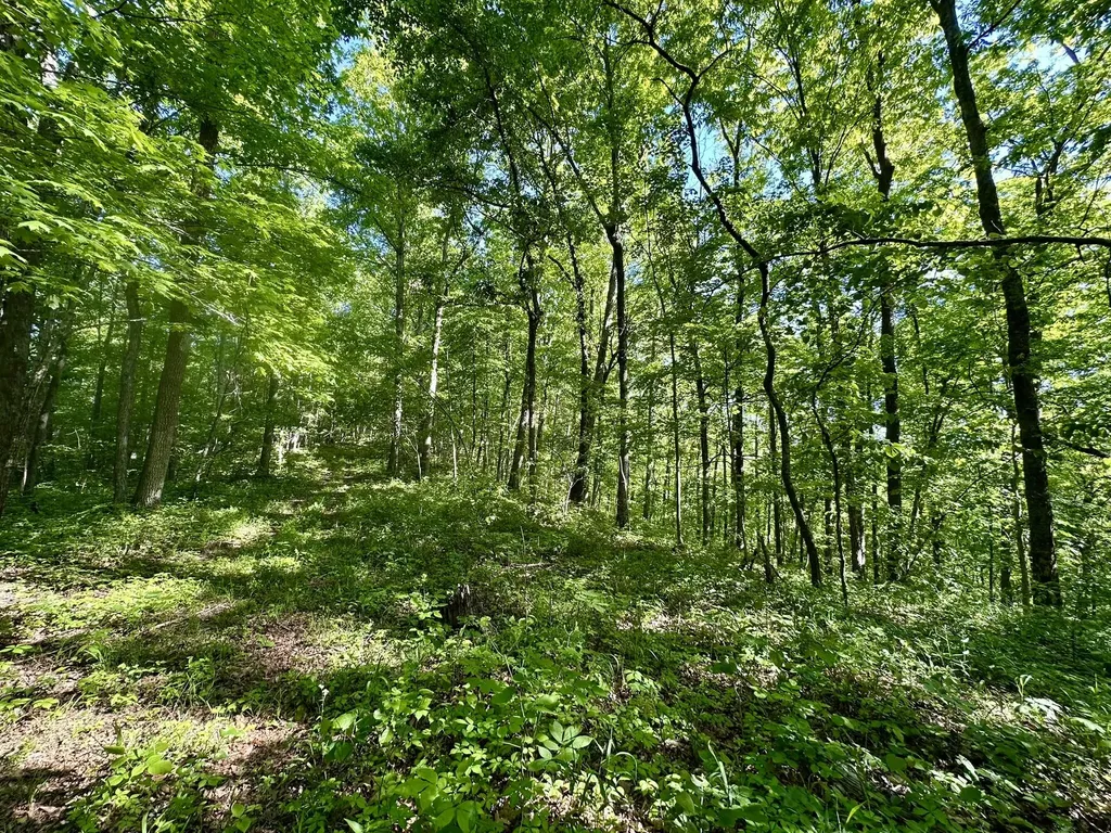 1170 E Doe Creek Road Liberty KY 42539
