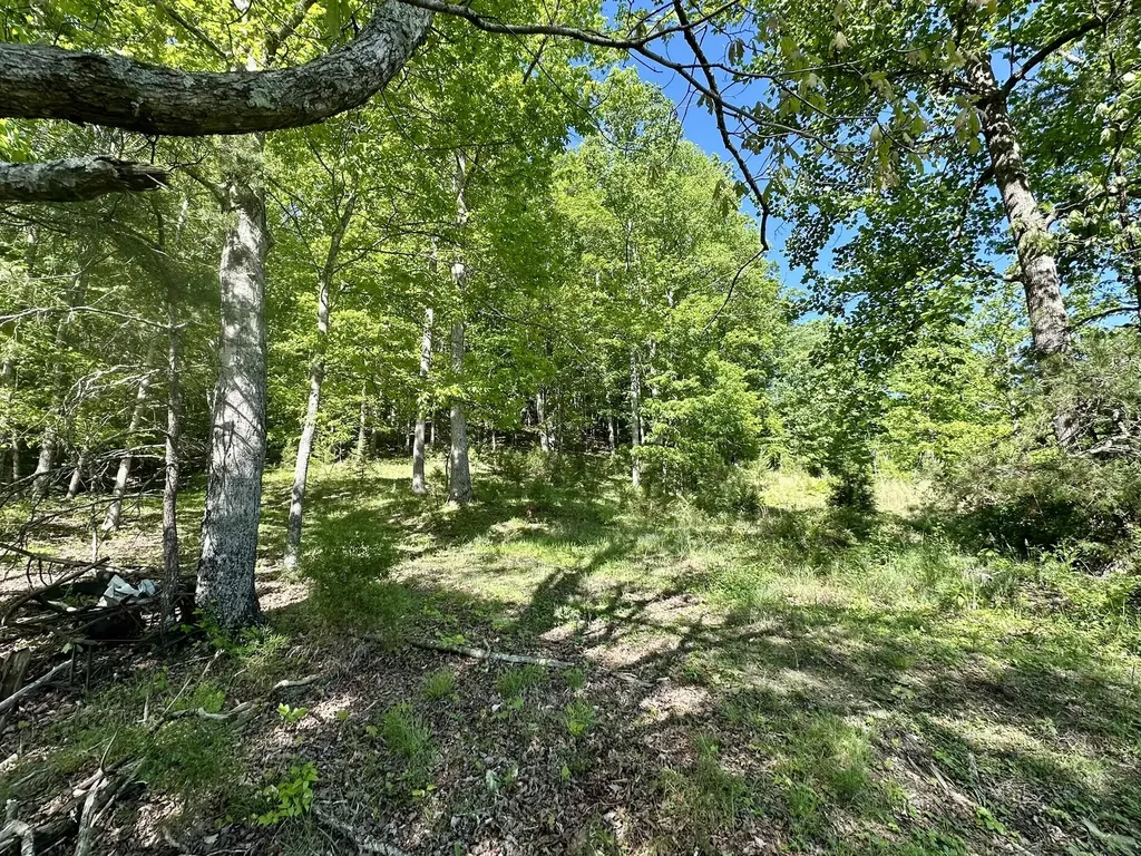 1170 E Doe Creek Road Liberty KY 42539