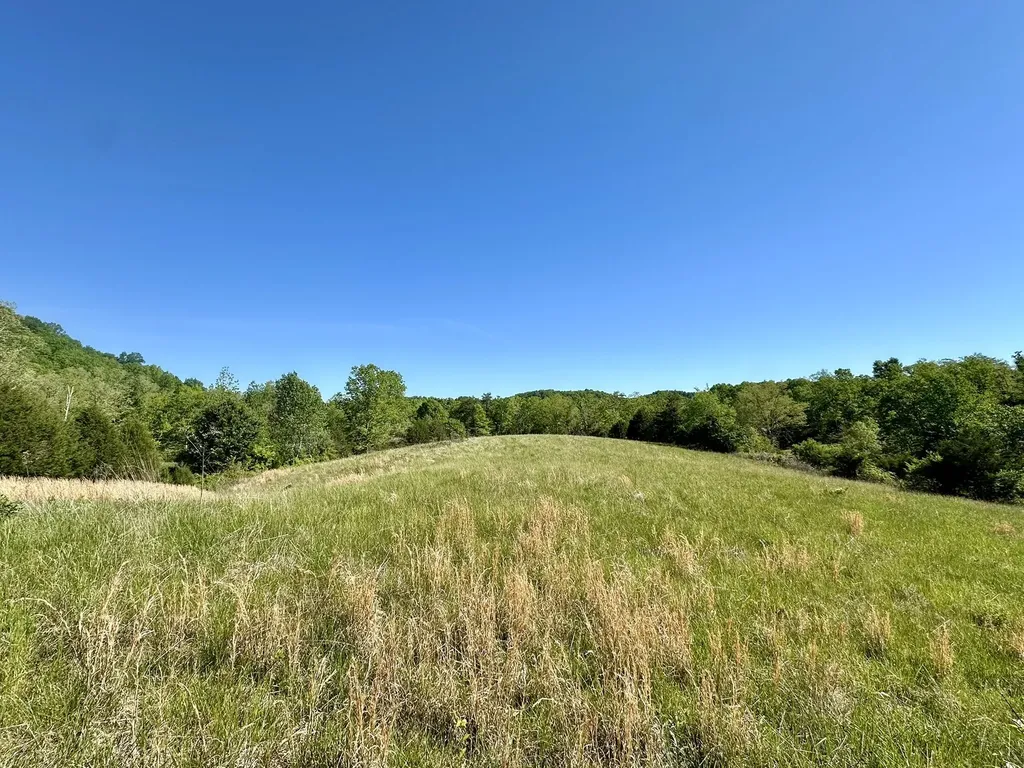 1170 E Doe Creek Road Liberty KY 42539