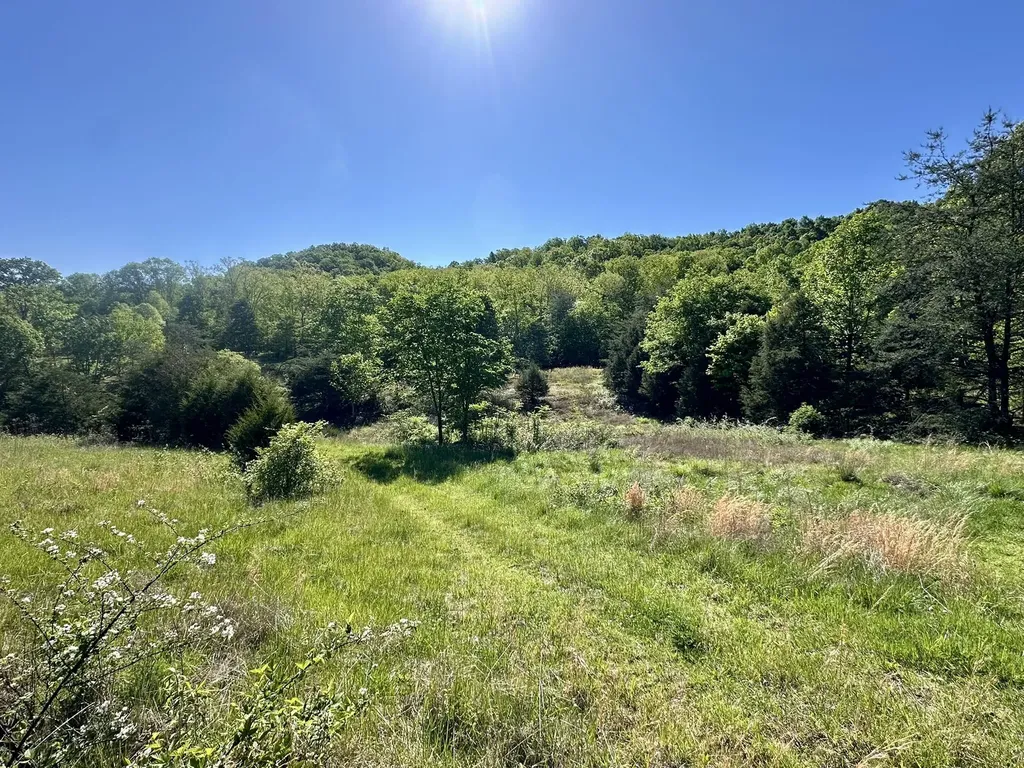 1170 E Doe Creek Road Liberty KY 42539