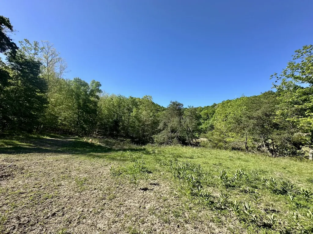 1170 E Doe Creek Road Liberty KY 42539