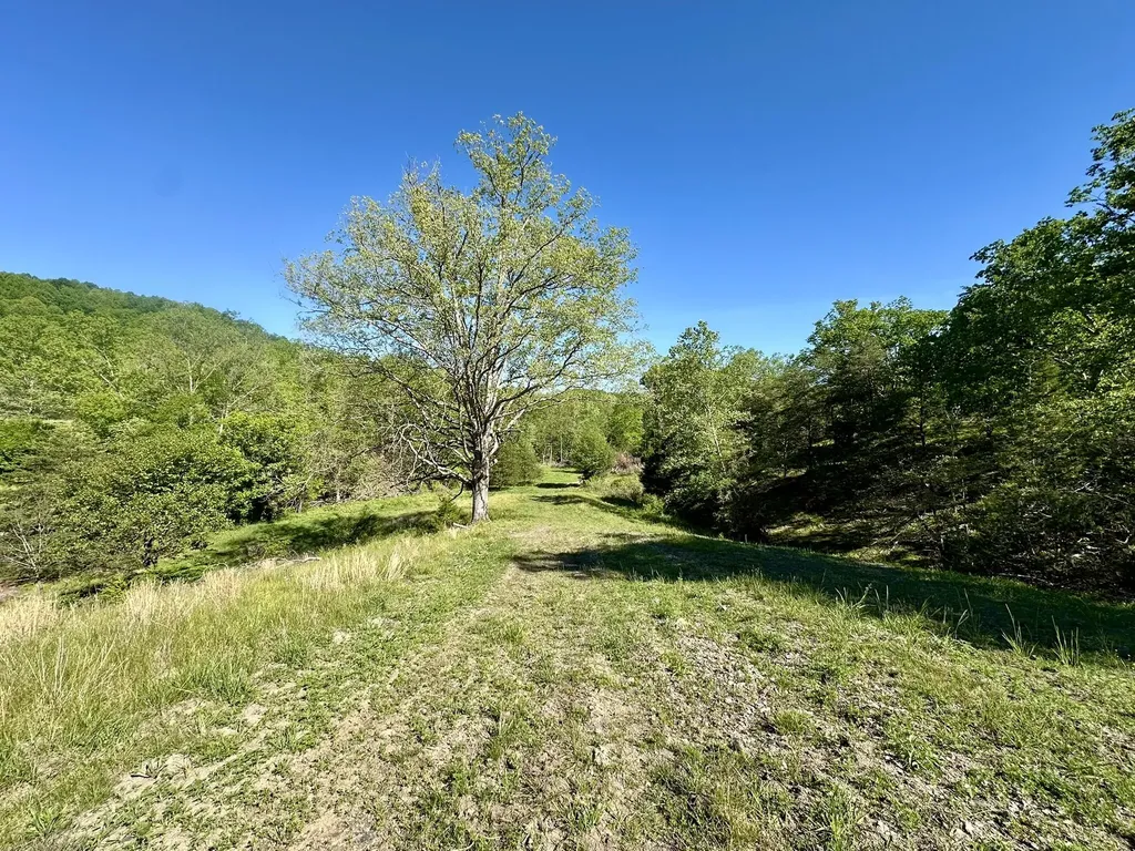 1170 E Doe Creek Road Liberty KY 42539