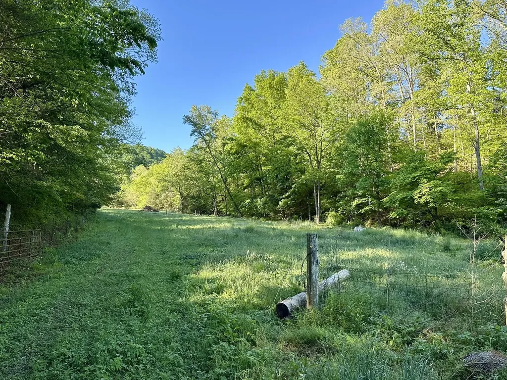 1170 E Doe Creek Road Liberty KY 42539