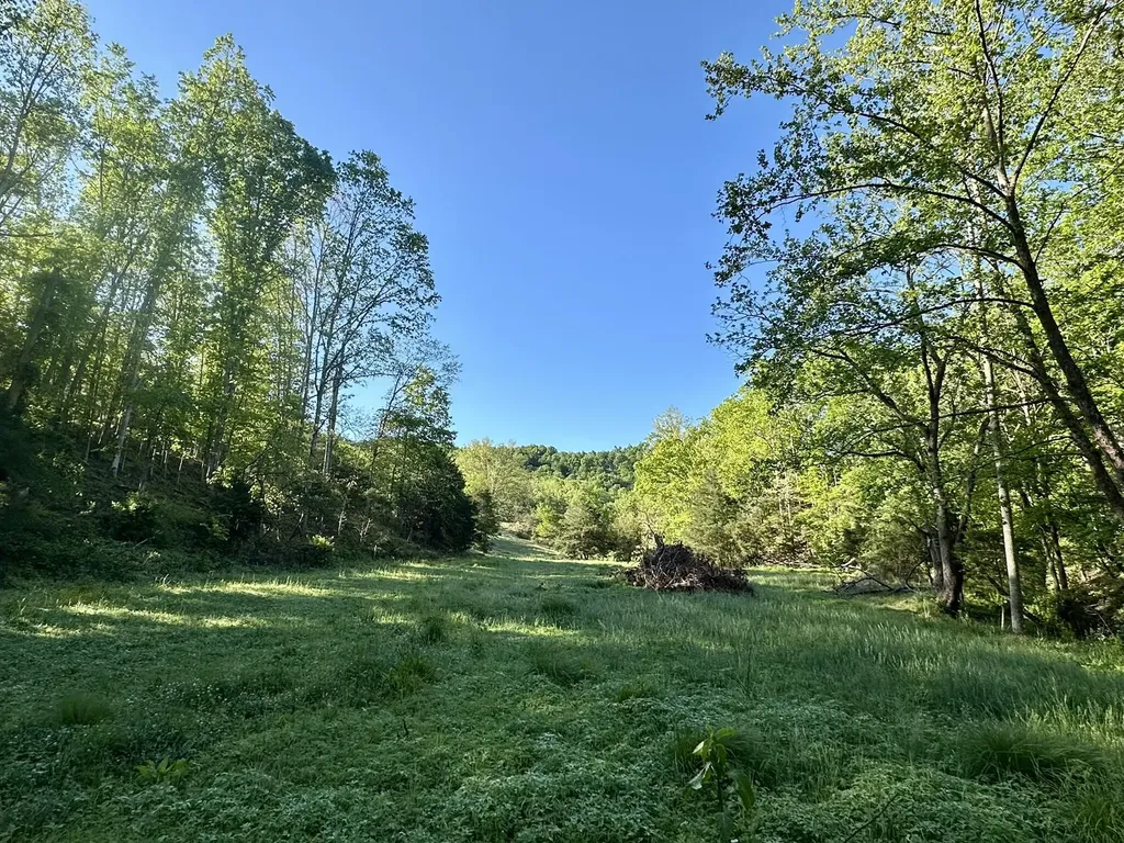 1170 E Doe Creek Road Liberty KY 42539