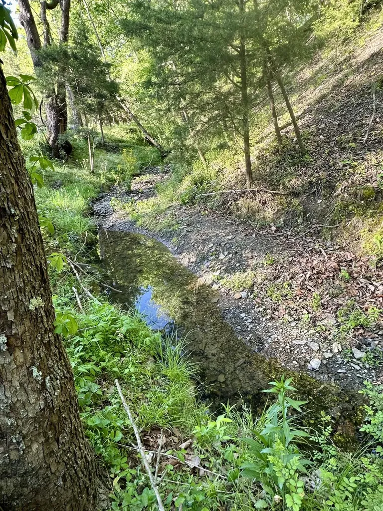1170 E Doe Creek Road Liberty KY 42539