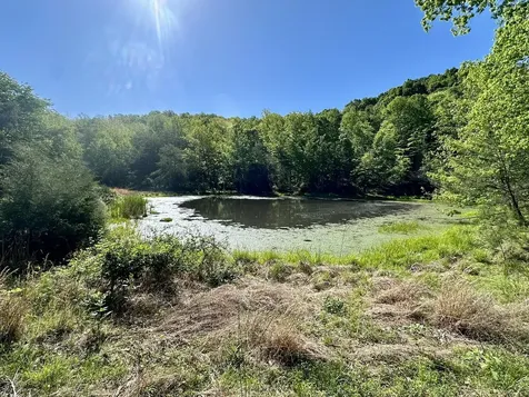 1170 E Doe Creek Road Liberty KY 42539