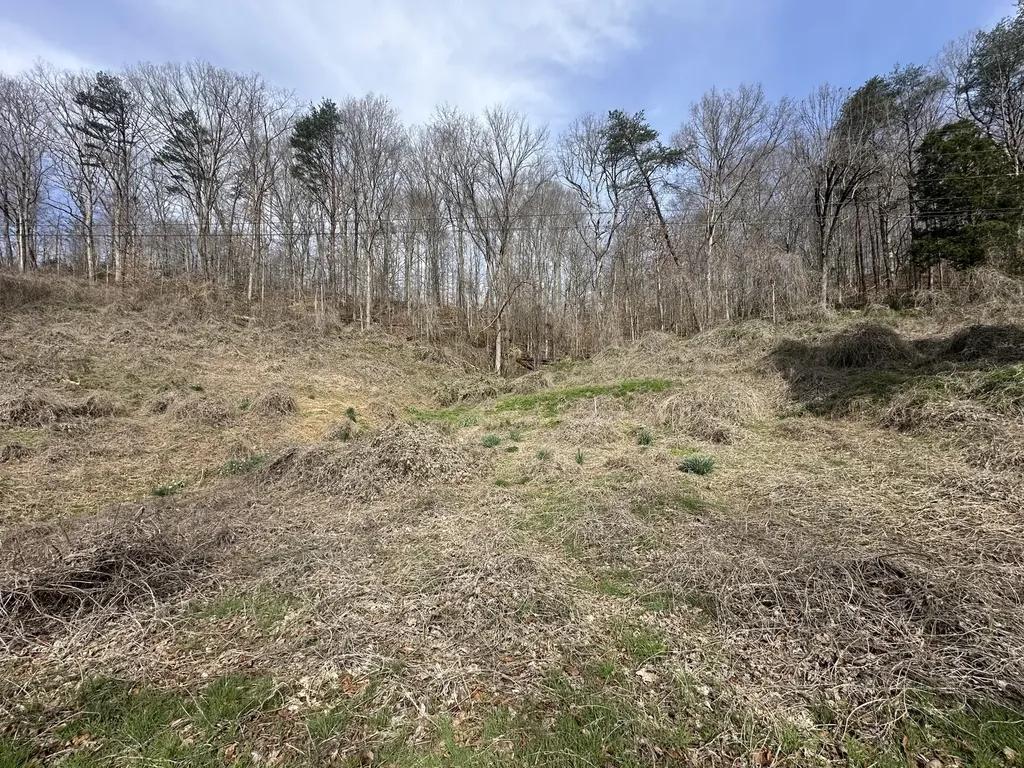 7611 Highway 1044 Pine Knot KY 42635