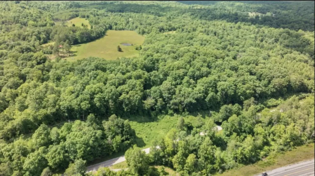 7611 Highway 1044 Pine Knot KY 42635