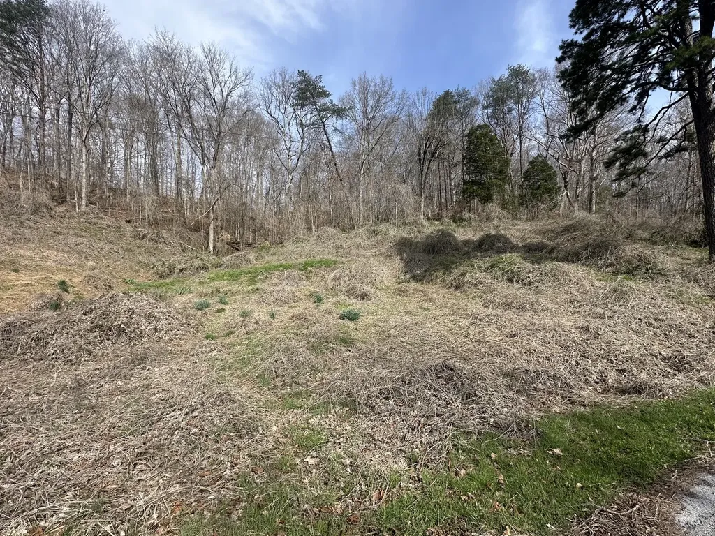 7611 Highway 1044 Pine Knot KY 42635