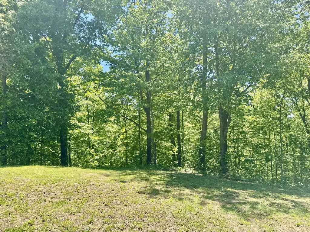 2255 S Tree Tower Road Sand Gap KY 40481
