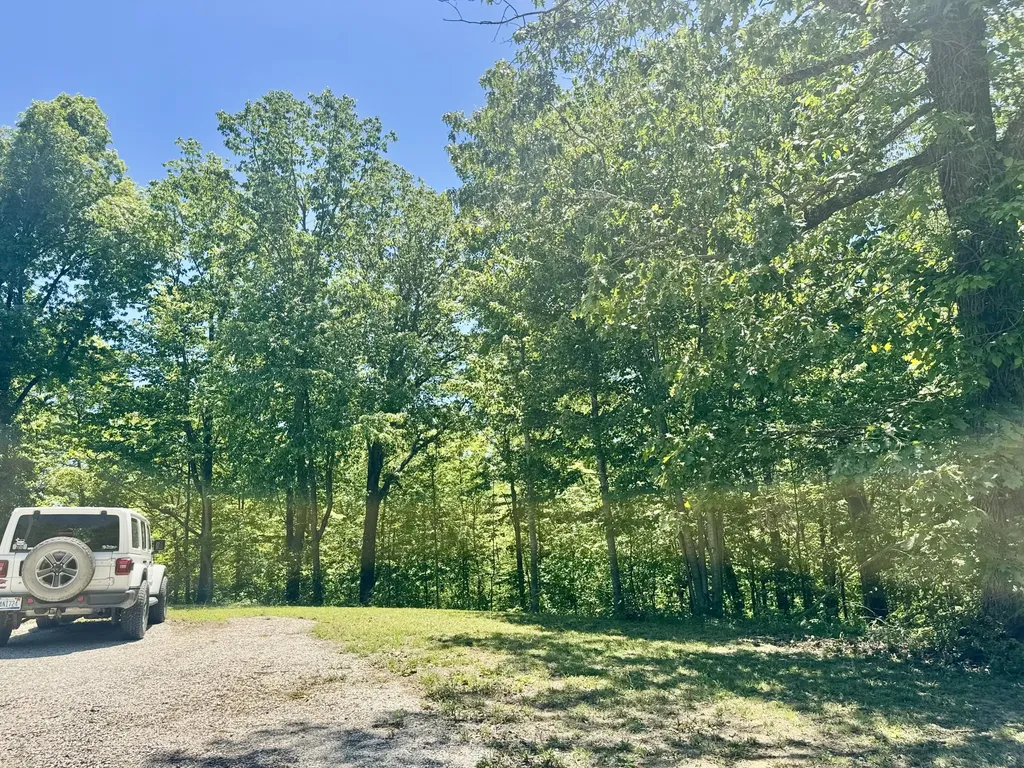 2255 S Tree Tower Road Sand Gap KY 40481