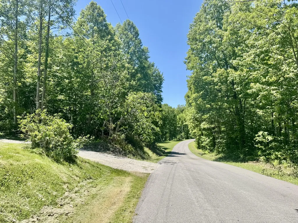2255 S Tree Tower Road Sand Gap KY 40481