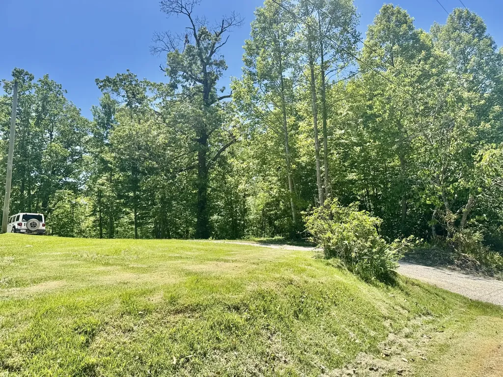 2255 S Tree Tower Road Sand Gap KY 40481
