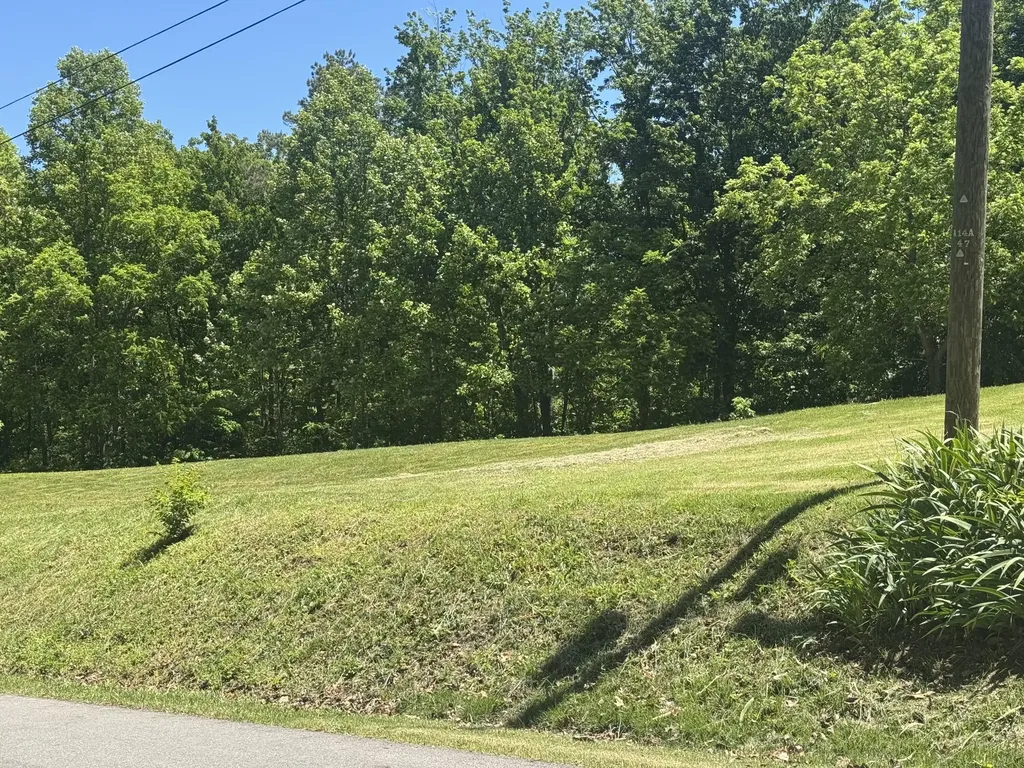 2255 S Tree Tower Road Sand Gap KY 40481