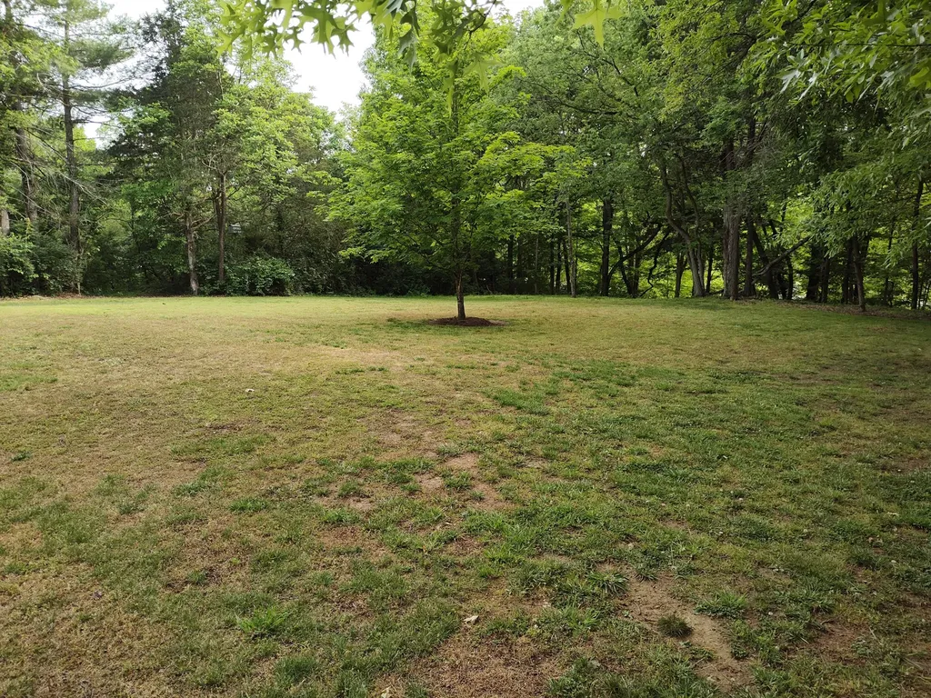 75 Ridge Avenue Berea KY 40403