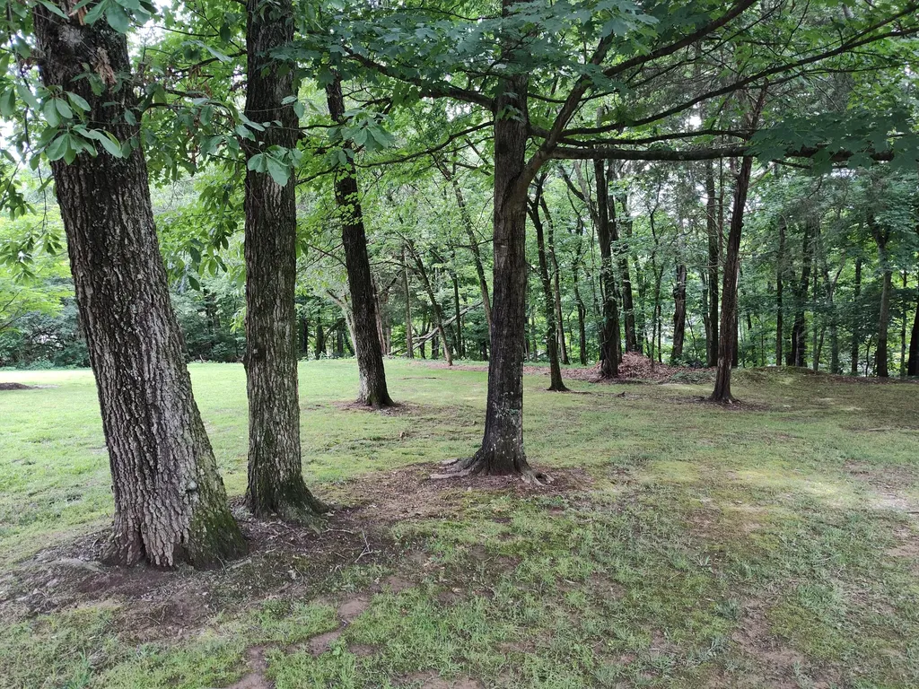 75 Ridge Avenue Berea KY 40403