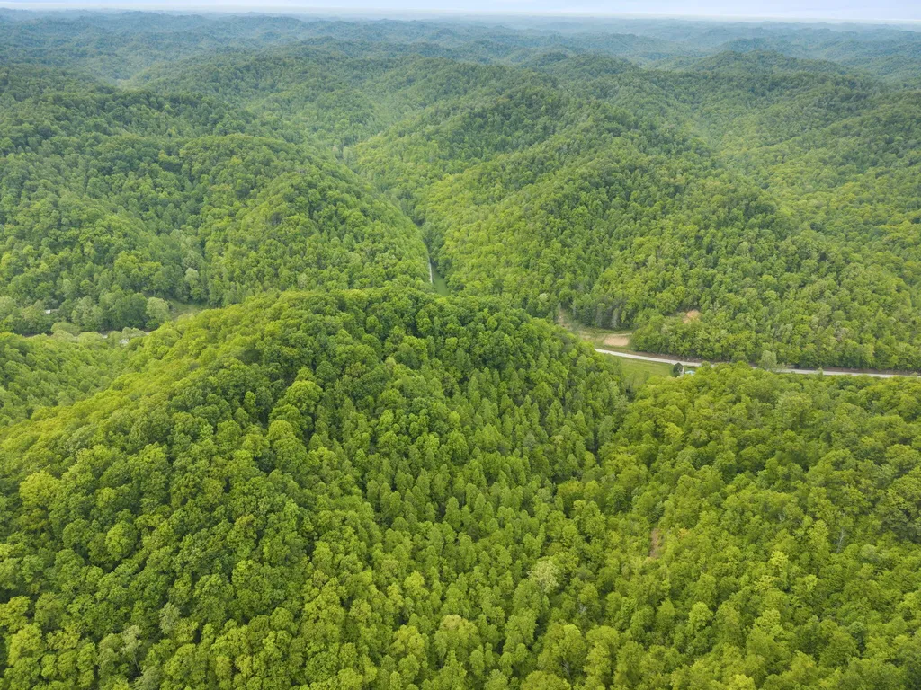 0 Jetts Creek Road Jackson KY 41339