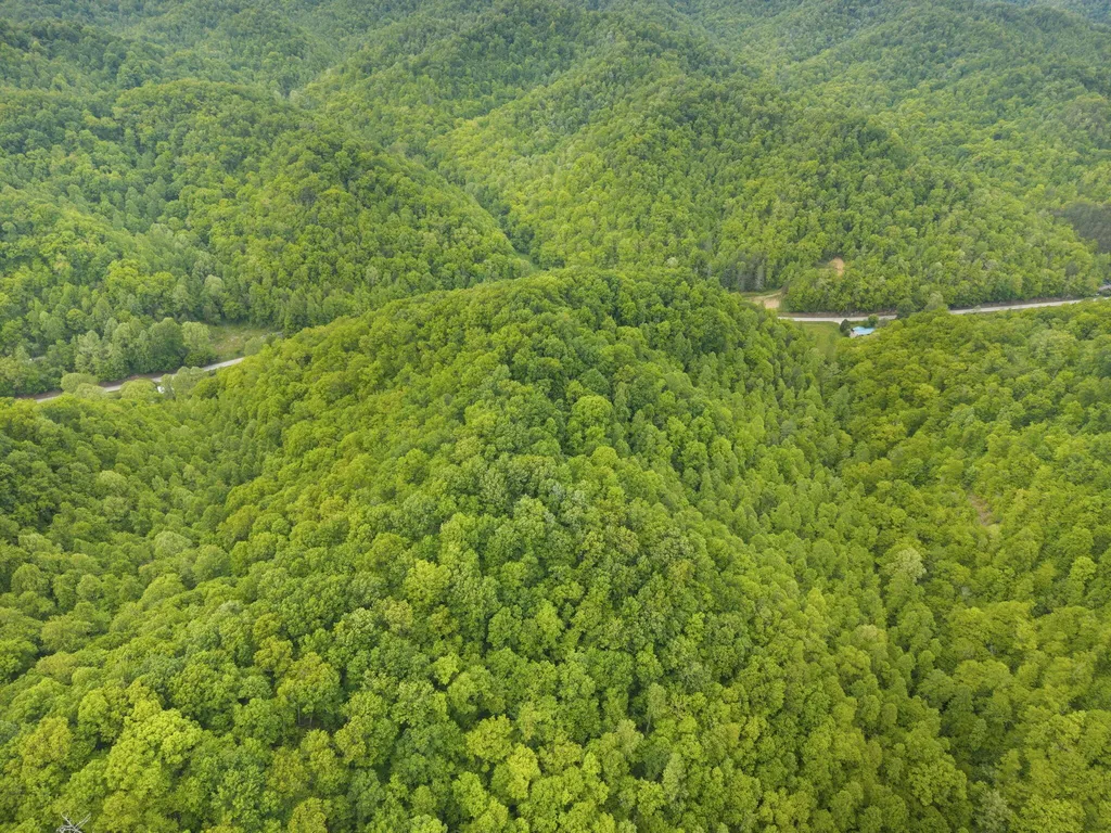 0 Jetts Creek Road Jackson KY 41339