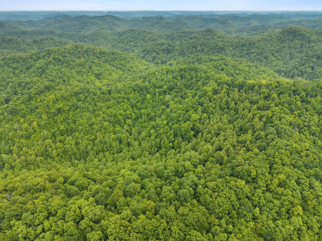 0 Jetts Creek Road Jackson KY 41339