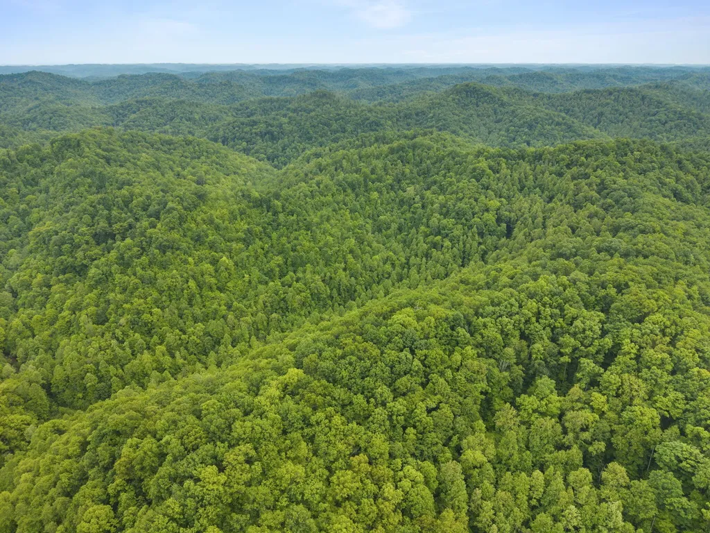 0 Jetts Creek Road Jackson KY 41339
