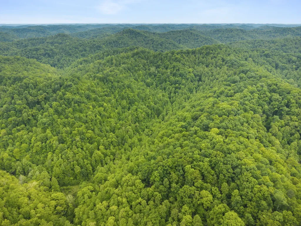0 Jetts Creek Road Jackson KY 41339