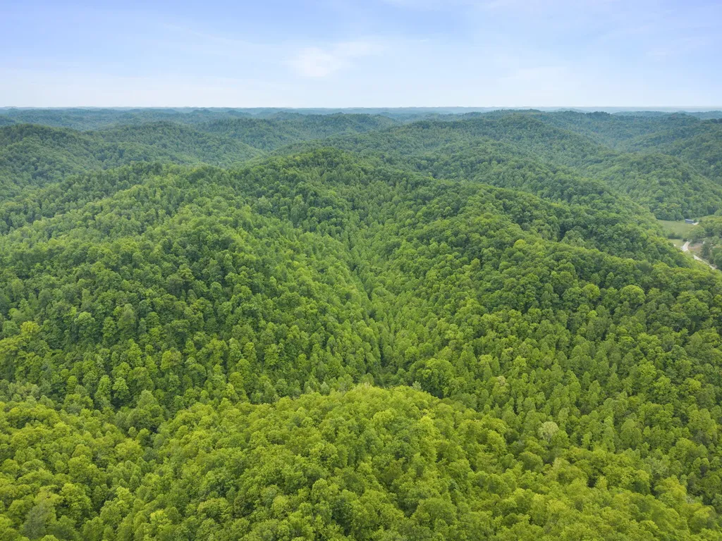 0 Jetts Creek Road Jackson KY 41339