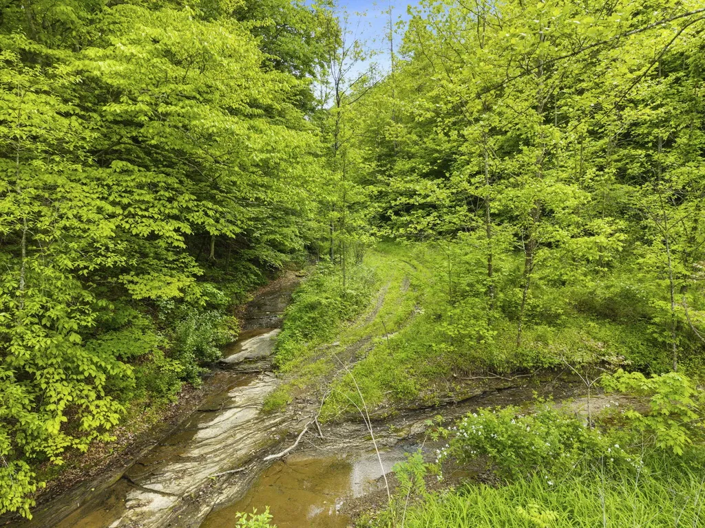 0 Jetts Creek Road Jackson KY 41339